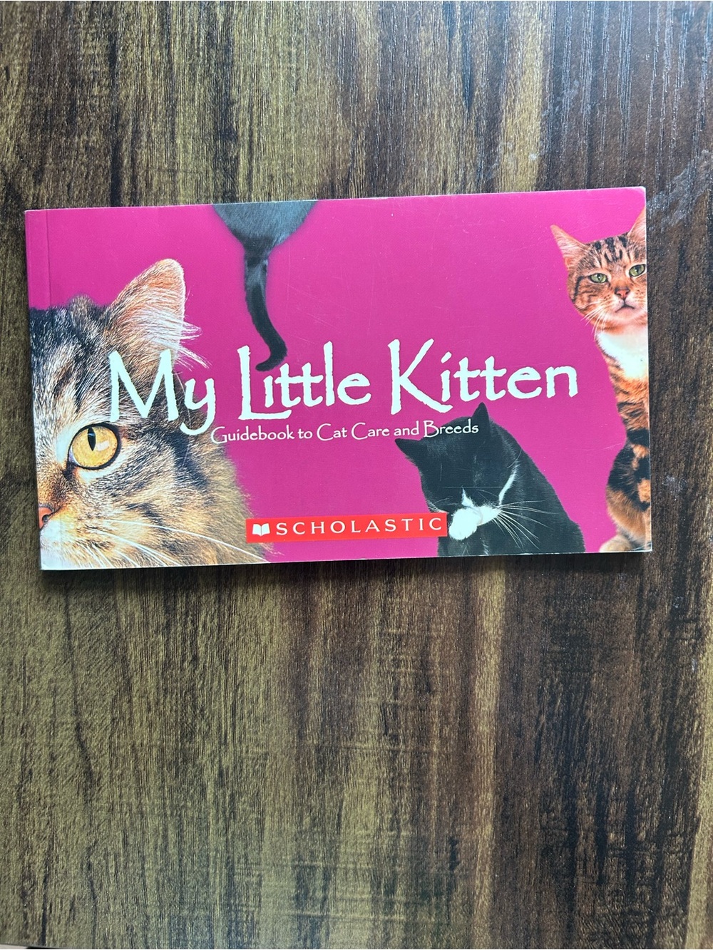 Scholastic My Little Kitten Guidebook — Bright Pink Cover